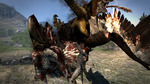 Dragondogma-5