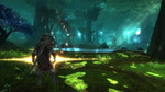 Kingdoms-of-amalur-reckoning-1321080741670817