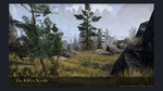 The-elder-scrolls-online-1385019565505666