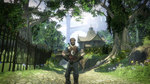 Fable-2-1