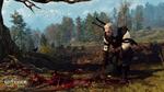 The-witcher-3-wild-hunt-1422252805460217