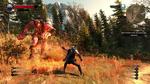 The-witcher-3-wild-hunt-1430033453315085