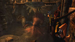 Tomb-raider-underworld-1