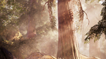 Far-cry-primal-1444152541458990