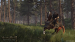 Mount-and-blade-2-bannerlord-1484750156208181