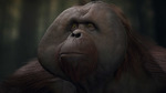 Planet-of-the-apes-last-frontier-1503069037374902