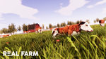 Real-farm-1504790563400879