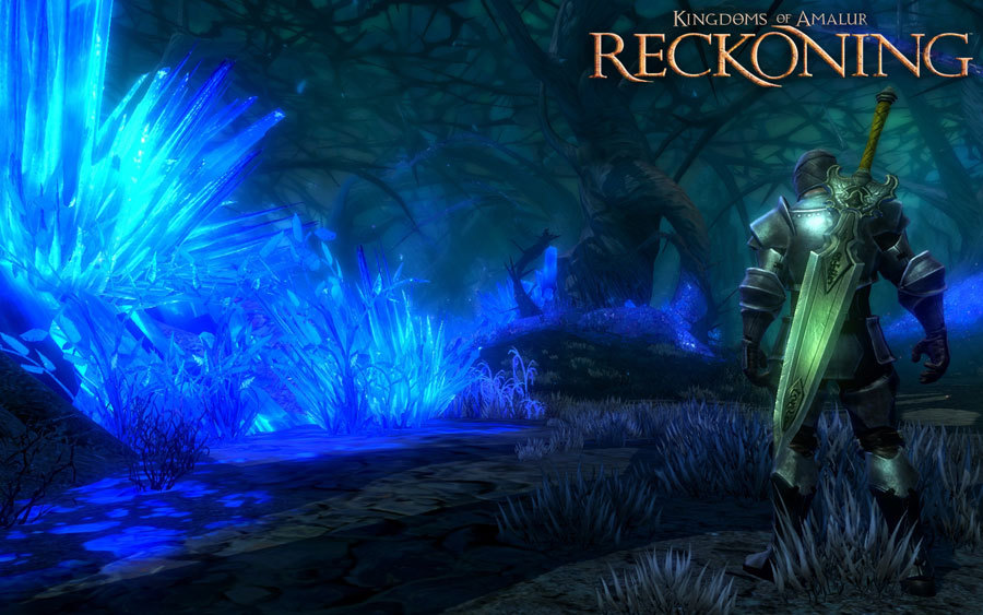 Kingdoms-of-amalur-reckoning-3