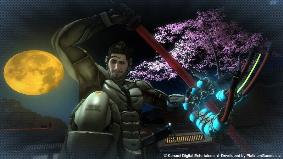 Metal-gear-rising-139093351074328