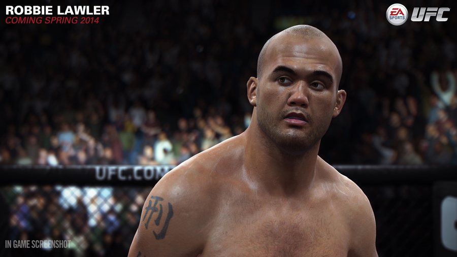 Ea-sports-ufc-1394257927998751