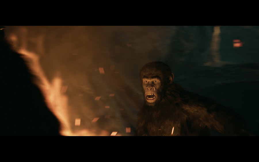 Planet-of-the-apes-last-frontier-1503069037374908