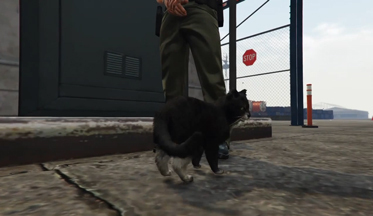 Gta-5-video-2