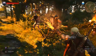 Видео The Witcher 3: Wild Hunt - бои с использованием знаков