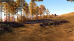 Первый выпуск Total War Academy - правила битвы