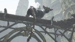 Видео The Last Guardian - сравнение графики с E3 2015 и TGS 2016