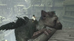 Видео о создании музыки The Last Guardian (русские субтитры)