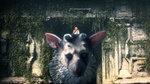 Трейлер The Last Guardian - нерушимая связь