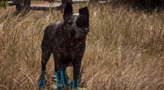 Видео Far Cry 5 о создании Бумера