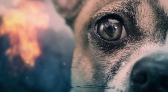 Реклама God of War - Dog of War