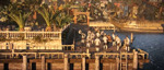 Кинематографический трейлер Assassin's Creed 4 Black Flag с E3 2013