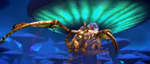 Видео World of Warcraft - зачарованный волшебный дракончик